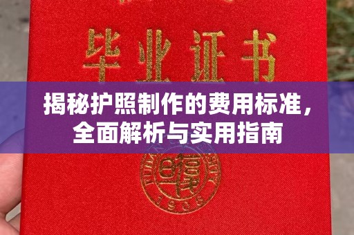 滴道揭秘护照制作的费用标准，全面解析与实用指南