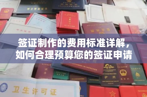 囊谦签证制作的费用标准详解，如何合理预算您的签证申请成本